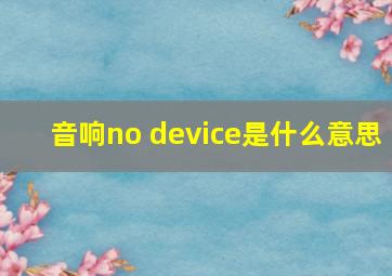 音响no device是什么意思